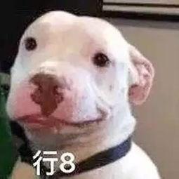 娱乐圈吃瓜微信公众号,揭秘热门公众号背后的吃瓜世界 第1张 娱乐圈吃瓜微信公众号,揭秘热门公众号背后的吃瓜世界 第1张