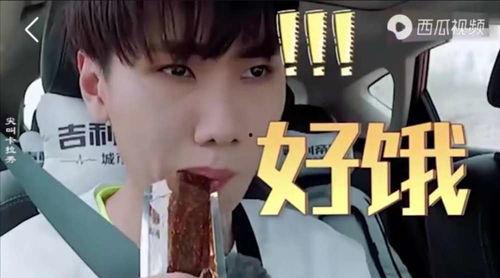 潇洒娱乐吃瓜者,揭秘吃瓜者的狂欢世界 第3张 潇洒娱乐吃瓜者,揭秘吃瓜者的狂欢世界 第3张