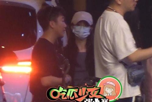 娱乐吃瓜导演,幕后故事与热点追踪  第3张