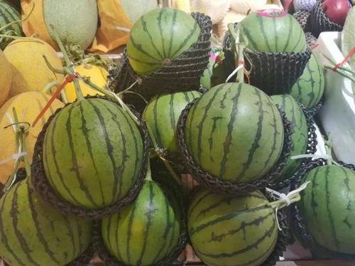 娱乐场吃瓜,揭秘明星们的“吃瓜”日常  第2张