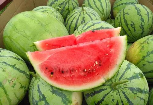 娱乐场吃瓜,揭秘明星们的“吃瓜”日常  第3张