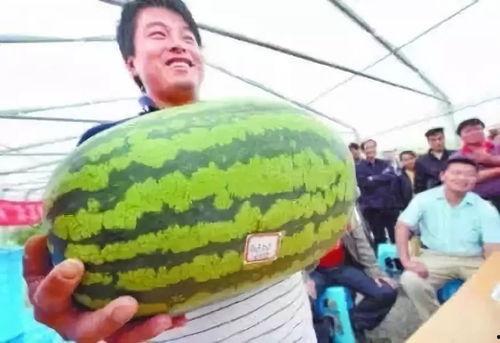 娱乐吃瓜7月,7月娱乐圈吃瓜大揭秘  第2张