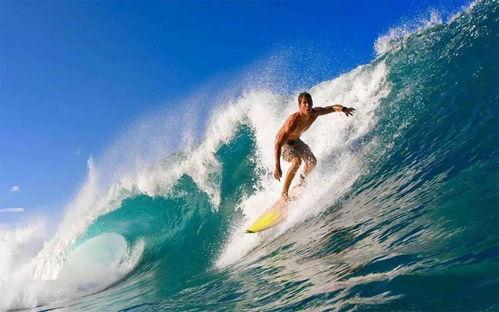 娱乐吃瓜君冲浪,娱乐吃瓜君带你冲浪娱乐热点  第3张