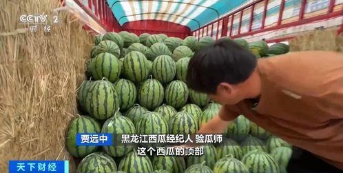 娱乐吃瓜香,揭秘明星幕后故事 第2张 娱乐吃瓜香,揭秘明星幕后故事 第2张