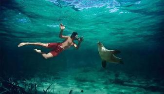 一线吃瓜娱乐圈_海底见月,喻闻的意外穿越与娱乐圈风云 第2张 一线吃瓜娱乐圈_海底见月,喻闻的意外穿越与娱乐圈风云 第2张