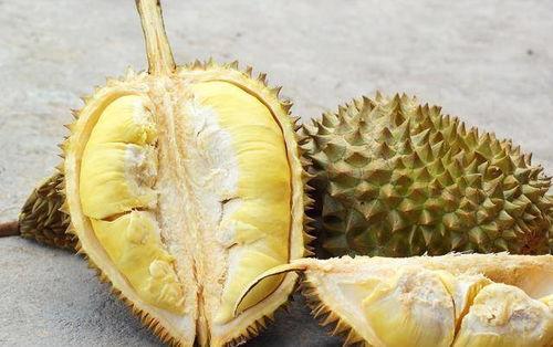 吃瓜娱乐间榴莲,热带果王背后的传奇与争议 第2张 吃瓜娱乐间榴莲,热带果王背后的传奇与争议 第2张