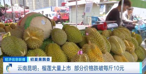 吃瓜娱乐间榴莲,热带果王背后的传奇与争议 第3张 吃瓜娱乐间榴莲,热带果王背后的传奇与争议 第3张