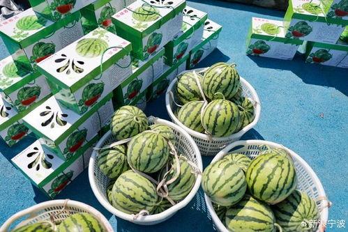 娱乐吃瓜甜,揭秘明星们的甜蜜生活与浪漫故事 第2张 娱乐吃瓜甜,揭秘明星们的甜蜜生活与浪漫故事 第2张