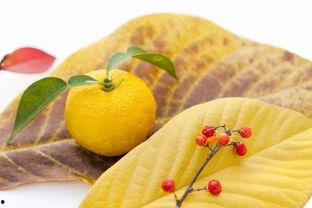 柚子娱乐吃瓜,揭秘娱乐圈幕后“吃瓜”风云 第2张 柚子娱乐吃瓜,揭秘娱乐圈幕后“吃瓜”风云 第2张