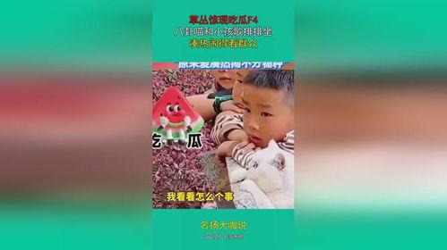 娱乐吃瓜宝宝,揭秘宝宝吃瓜背后的故事 第1张 娱乐吃瓜宝宝,揭秘宝宝吃瓜背后的故事 第1张