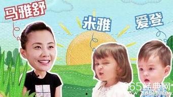 娱乐吃瓜宝宝,揭秘宝宝吃瓜背后的故事 第3张 娱乐吃瓜宝宝,揭秘宝宝吃瓜背后的故事 第3张