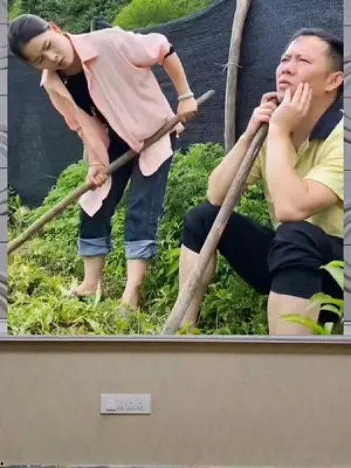 娱乐健身吃瓜,揭秘明星健身背后的故事与吃瓜乐趣” 第3张 娱乐健身吃瓜,揭秘明星健身背后的故事与吃瓜乐趣” 第3张