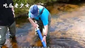 娱乐吃瓜老少女,老少生花，吃瓜群众笑谈风云变幻  第2张