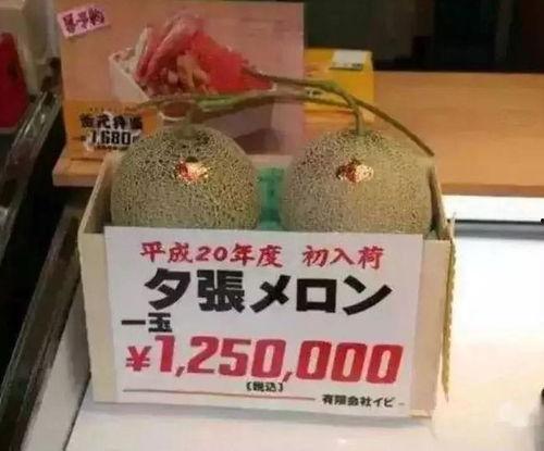 娱乐吃瓜酱标签 第3张 娱乐吃瓜酱标签 第3张