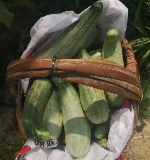 娱乐吃瓜带货,揭秘网红经济背后的娱乐产业链  第2张