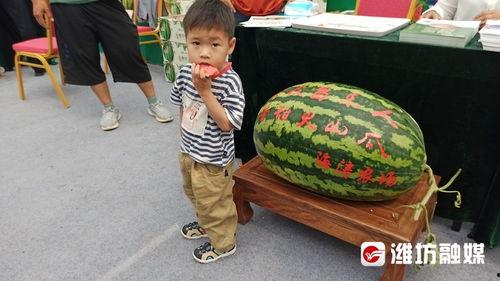 娱乐吃瓜带货,揭秘网红经济背后的娱乐产业链  第3张