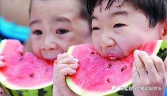 娱乐吃瓜酱新疆,探索哈密瓜酱的独特魅力  第2张