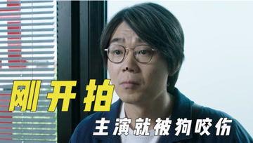 娱乐吃瓜君英文,Entertainment Gossiper: The English Expression for the 'Eating Water' Enthusiast  第3张