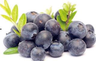 娱乐吃瓜酱蓝莓,甜蜜的娱乐吃瓜伴侣