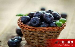 娱乐吃瓜酱蓝莓,甜蜜的娱乐吃瓜伴侣  第2张