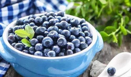 娱乐吃瓜酱蓝莓,甜蜜的娱乐吃瓜伴侣  第3张