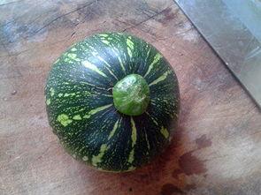 湖南娱乐吃瓜,揭秘明星幕后故事与台前幕后冲突 第1张 湖南娱乐吃瓜,揭秘明星幕后故事与台前幕后冲突 第1张