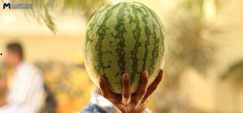 2021年娱乐吃瓜,年度吃瓜大事件盘点 第2张 2021年娱乐吃瓜,年度吃瓜大事件盘点 第2张