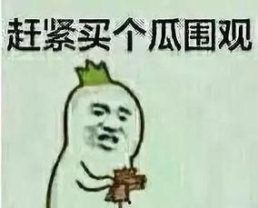 娱乐精神吃瓜群众,吃瓜群众围观年度大戏