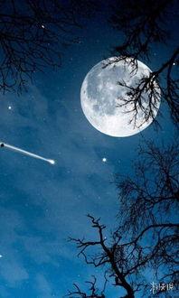 月亮吃瓜娱乐说,揭秘娱乐圈幕后故事  第2张