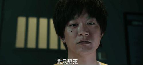 娱乐区吃瓜现状,揭秘明星隐私与粉丝狂欢的边界  第3张