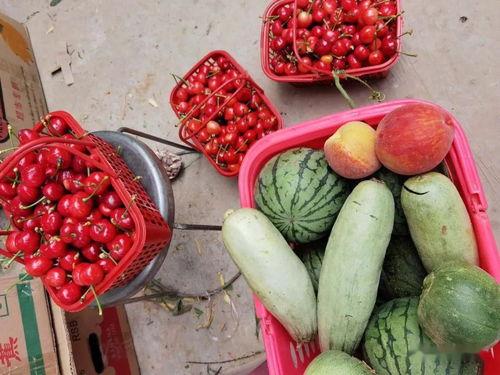 娱乐随拍吃瓜,随拍吃瓜，揭秘明星生活点滴  第2张