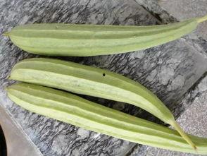 专业娱乐吃瓜,揭秘明星幕后那些事儿  第2张