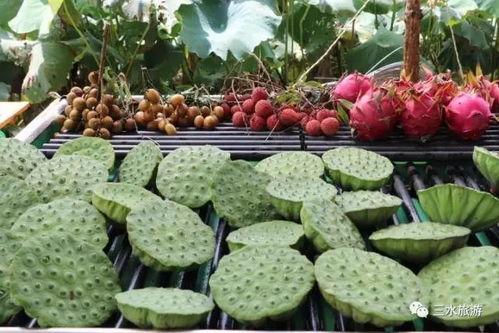 娱乐公司工作吃瓜,揭秘娱乐公司工作日常的吃瓜瞬间 第3张 娱乐公司工作吃瓜,揭秘娱乐公司工作日常的吃瓜瞬间 第3张