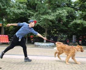 娱乐吃瓜酱遛狗,揭秘明星宠物日常  第3张