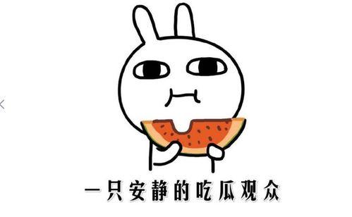 娱乐吃瓜酱知识怎么就进脑子里了,知识如何悄然植入脑海 第2张 娱乐吃瓜酱知识怎么就进脑子里了,知识如何悄然植入脑海 第2张