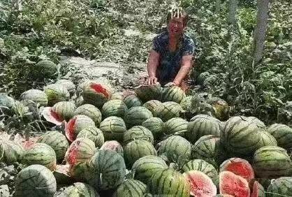 可云娱乐吃瓜,揭秘娱乐圈的“吃瓜”盛宴  第3张