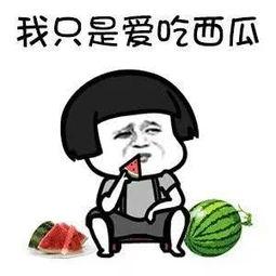 娱乐吃瓜知识,那些你不知道的幕后故事与八卦传闻  第1张