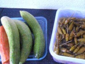 泡椒娱乐瓜地吃瓜,揭秘娱乐圈幕后风云  第2张