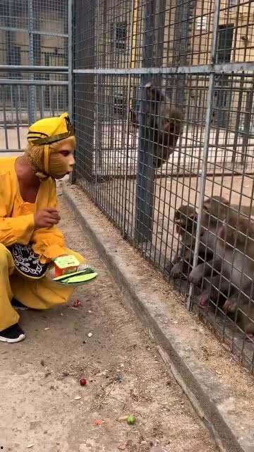 娱乐吃瓜酱猴,揭秘娱乐圈那些不为人知的幕后故事 第2张 娱乐吃瓜酱猴,揭秘娱乐圈那些不为人知的幕后故事 第2张