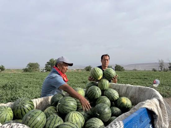 每天娱乐吃瓜,娱乐圈新鲜事速递  第2张