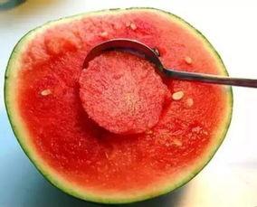 娱乐吃瓜酱颜料,揭秘颜料背后的娱乐风云  第2张