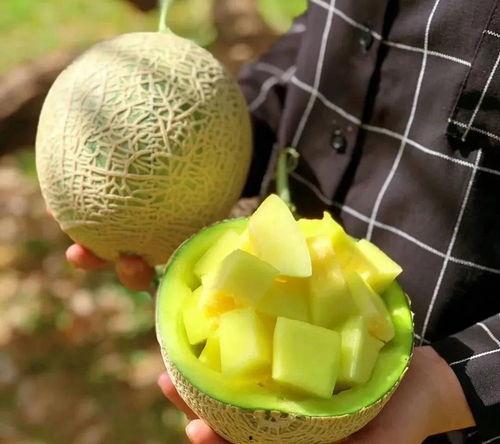 娱乐吃瓜推荐,明星们的幕后故事与吃瓜指南 第3张 娱乐吃瓜推荐,明星们的幕后故事与吃瓜指南 第3张