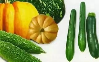 娱乐吃瓜009,吃瓜群众009的独家爆料  第2张