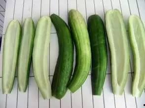 娱乐吃瓜酱浙江,揭秘浙江娱乐圈的那些事儿  第1张