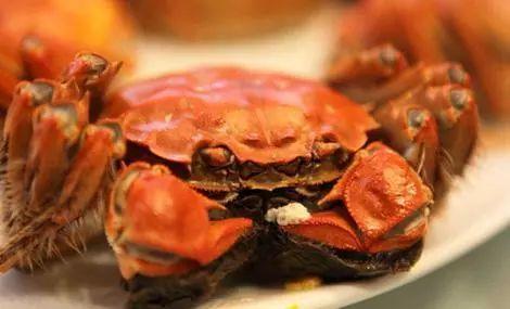 娱乐吃瓜君大闸蟹,大闸蟹背后的故事与魅力  第3张