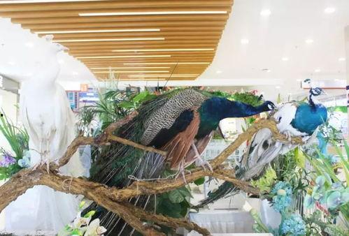 郑州吃瓜娱乐,揭秘城市生活趣味瞬间  第3张