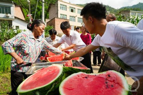 日本娱乐吃瓜,揭秘明星幕后故事与八卦传闻 第1张 日本娱乐吃瓜,揭秘明星幕后故事与八卦传闻 第1张