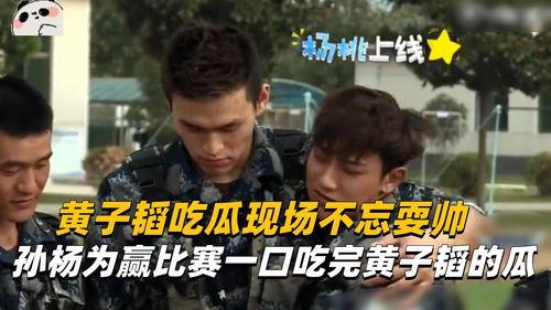 娱乐吃瓜场,揭秘明星幕后故事，吃瓜群众狂欢盛宴  第3张