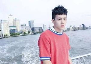 吃瓜娱乐圈张凌赫百度云,揭秘吃瓜群众的云端追星之旅  第3张