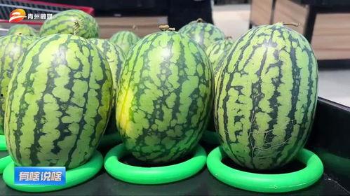 娱乐吃瓜酱潍坊,揭秘潍坊娱乐圈那些事儿  第3张